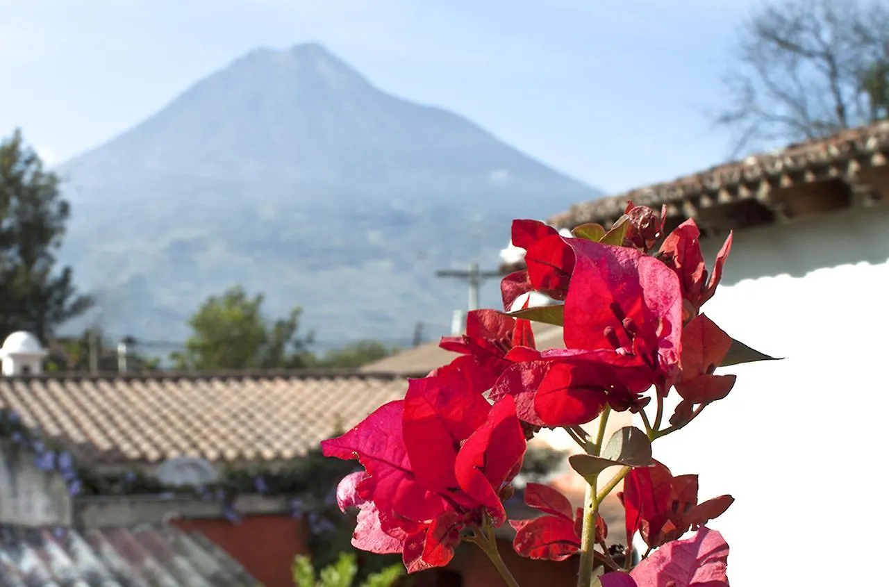 Villas Santa Ana Antigua